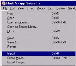 Раскраска во Flash